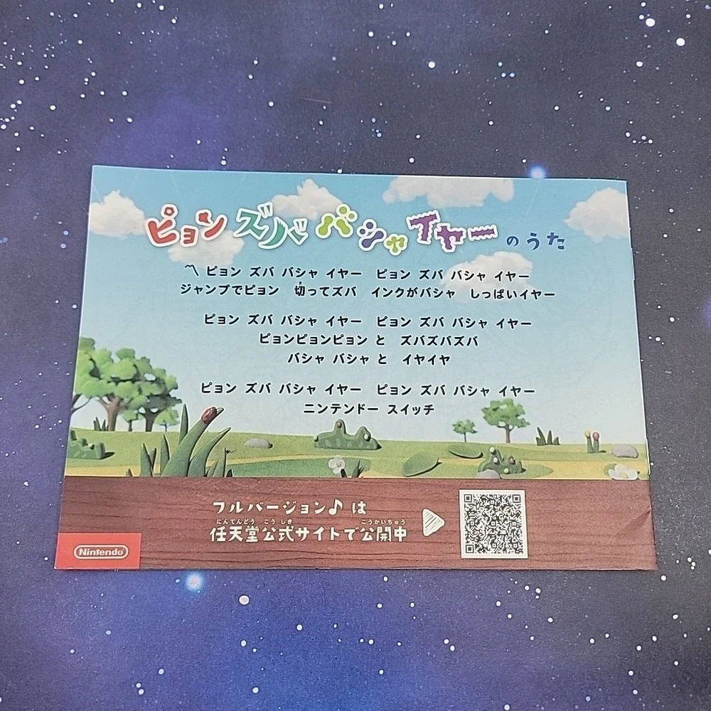Nintendo this pamphlet